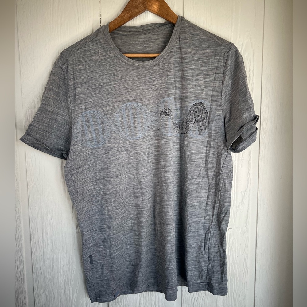 Icebreaker Merino Gray Men's T-Shirt